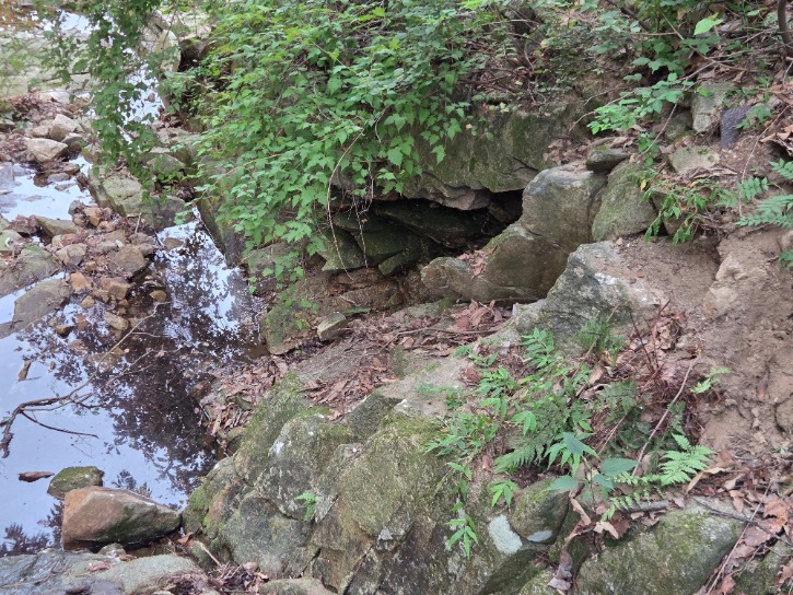 20250803_112347.jpg